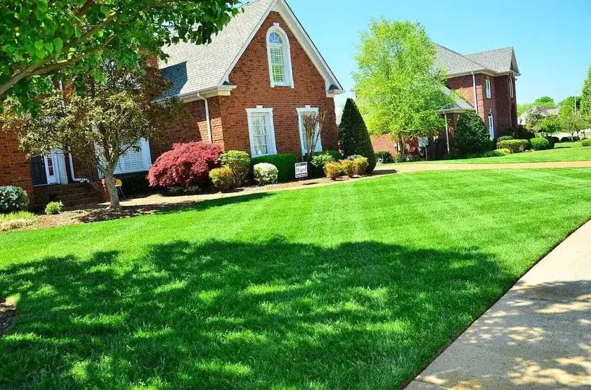 Healthy green lawn and landscaping at a Northern Virginia home