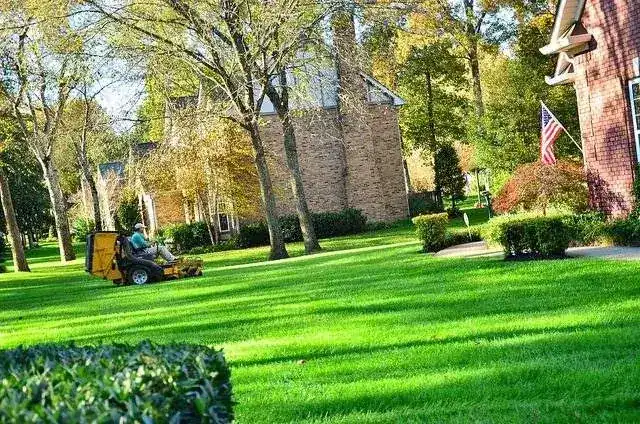 Spring Lawn Care Checklist for Virginia Yards