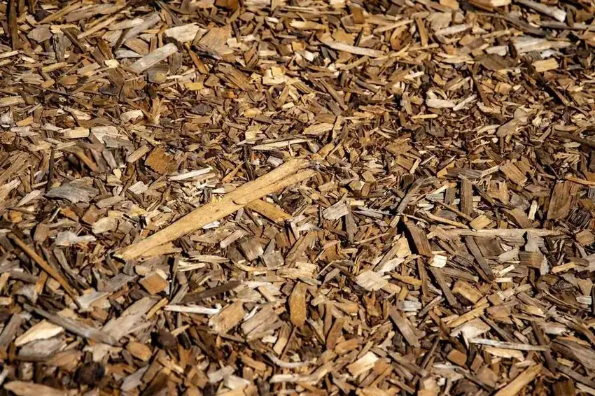 How Much Mulch Do You Need? A Simple Guide