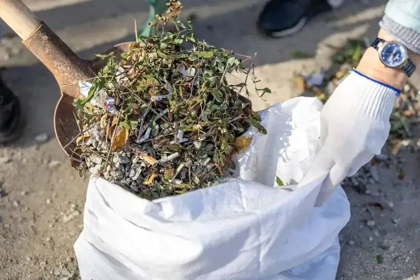 Debris Cleanup