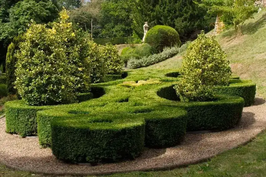 Landscape design with shaped boxwood beds and gravel paths
