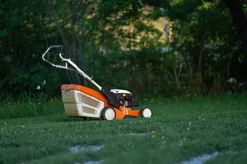 Lawn Maintenance in Northern Virginia