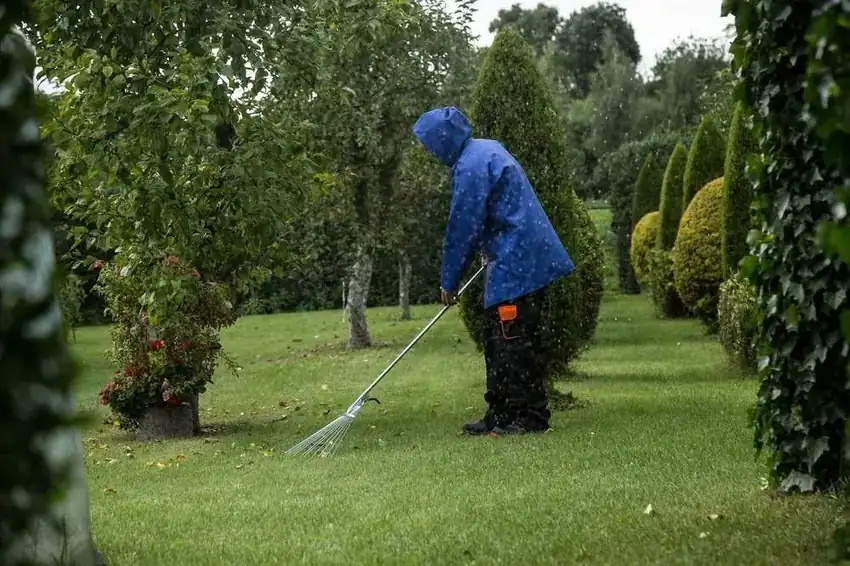 Leaf Cleanup