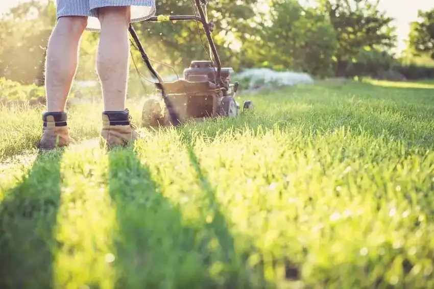 Mowing & Edging