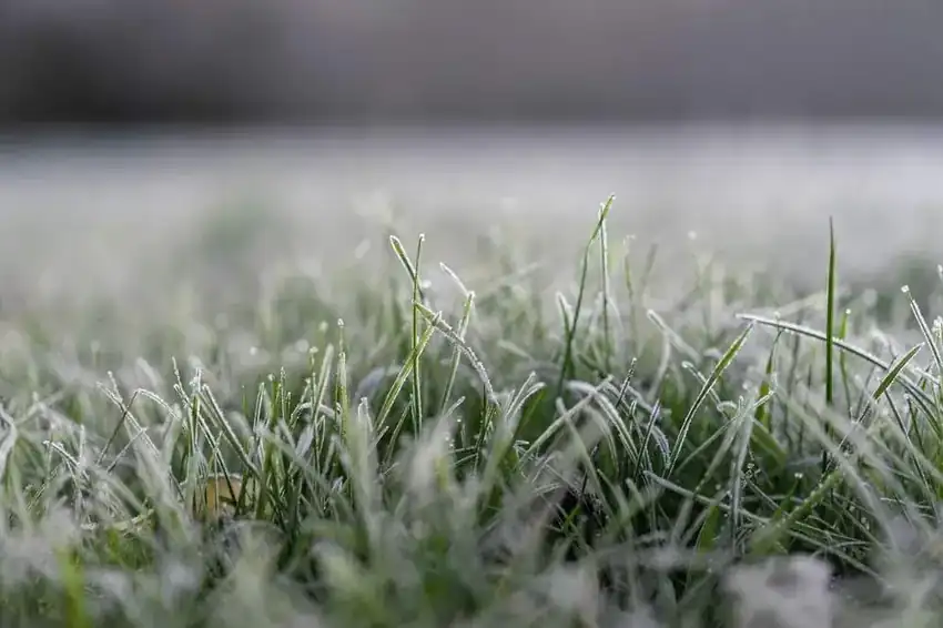 Winterization